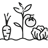 productos de la huerta